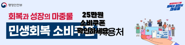 25만원 소비쿠폰 확인하세요