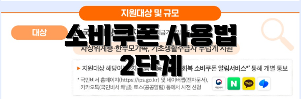 소비쿠폰 사용법 2단계