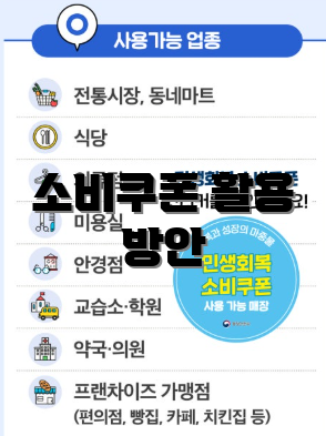 소비쿠폰 활용 방안