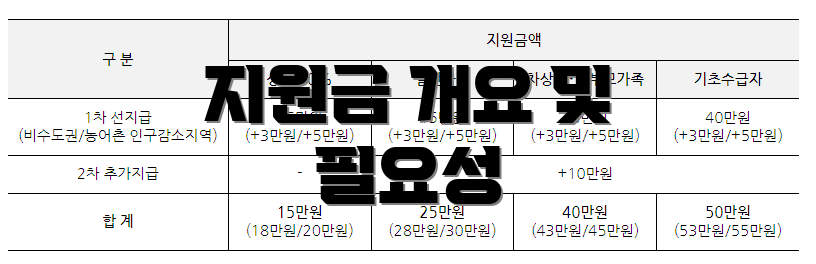 지원금 개요 및 필요성