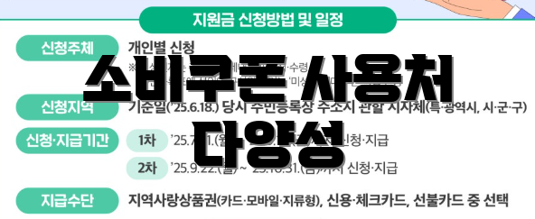 소비쿠폰 사용처 다양성