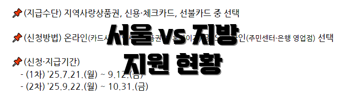 서울 vs 지방 지원 현황