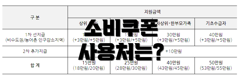 소비쿠폰 사용처는?