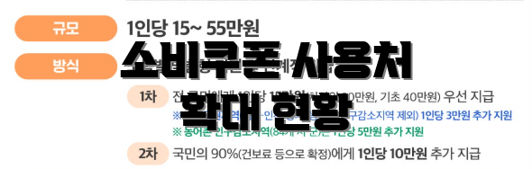 소비쿠폰 사용처 확대 현황