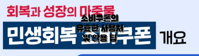 소비쿠폰의 유효한 사용처 및 활용 팁