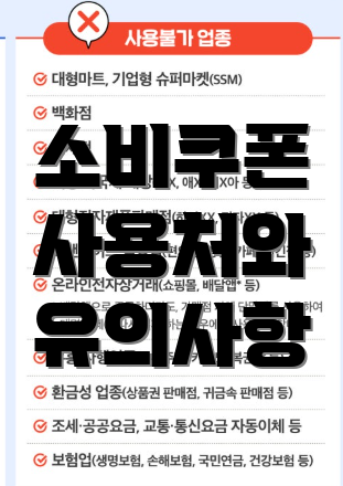 소비쿠폰 사용처와 유의사항