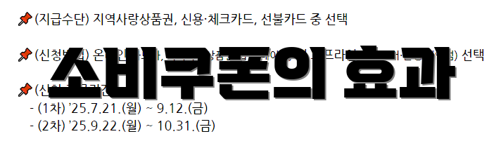 소비쿠폰의 효과