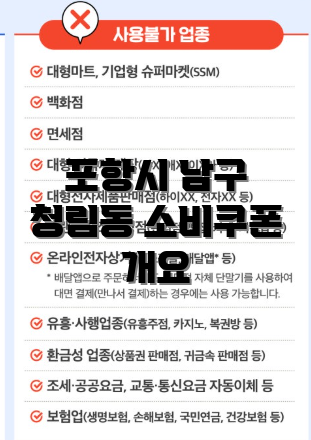 포항시 남구 청림동 소비쿠폰 개요
