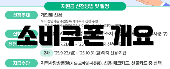 소비쿠폰 개요