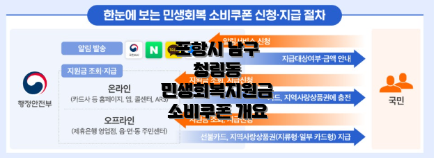 포항시 남구 청림동 민생회복지원금 소비쿠폰 개요